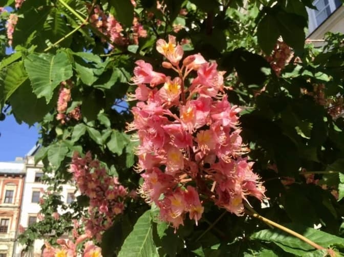 Фото: Олександра Сладкова