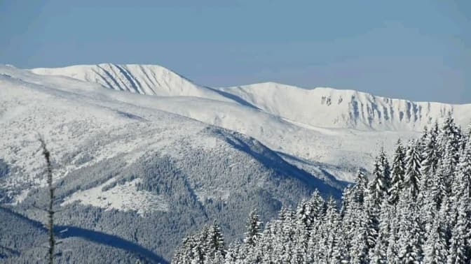 фото максима мисака