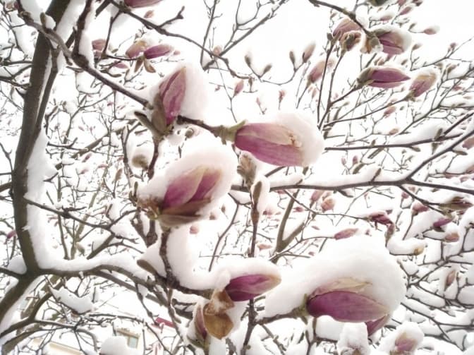 фото умовне