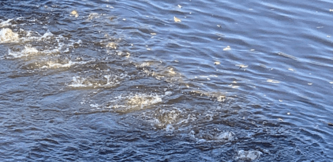 На Десні встановили додаткові аераційні установки для очищення води