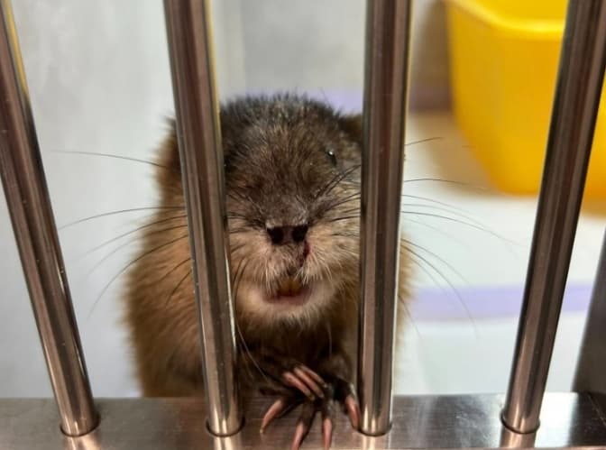 Фото: домівка