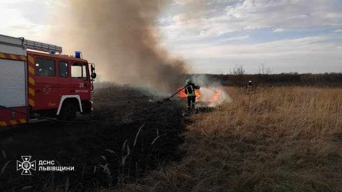 На Львівщині за добу вигоріло понад 17 гектарів сухої трави