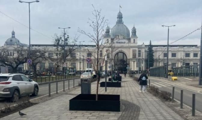 У Львові встановили захисні огородження для дерев