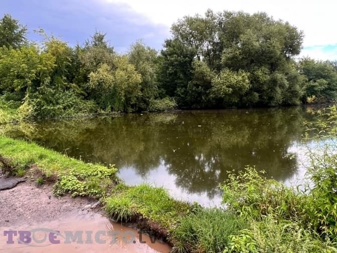 Для очищення озер на Сихові, у які торік злили нафтопродукти, виділили ще 1 млн грн