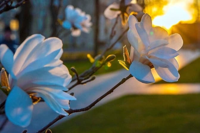 До 22 градусів. Якою завтра буде погода у Львові