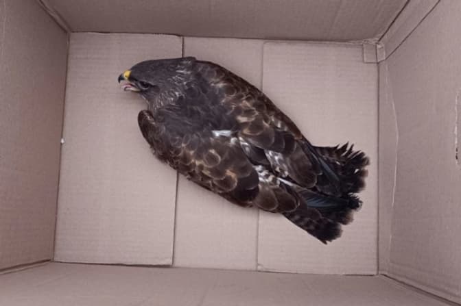 Фото: Львівської ОВА