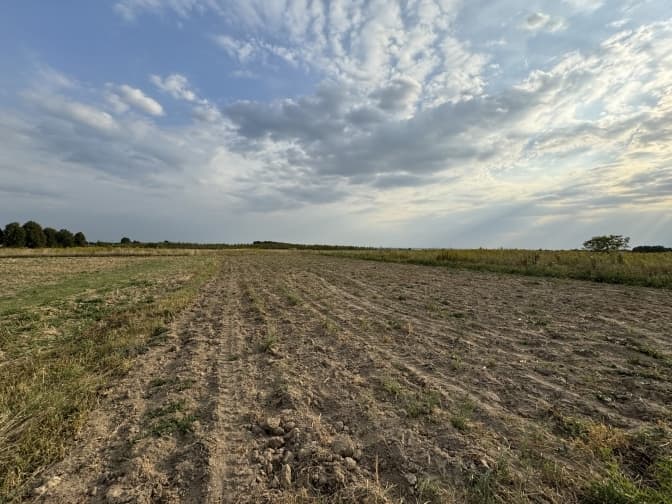 фото умовне