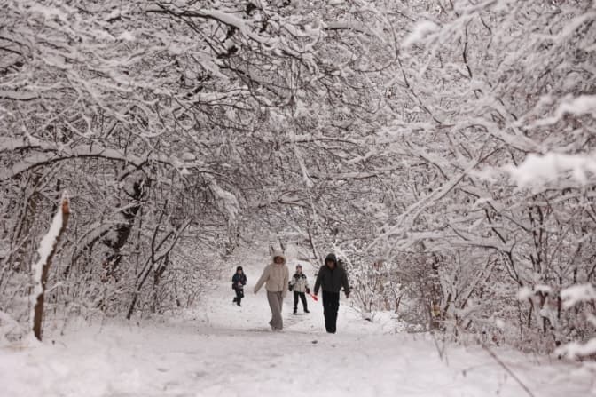 Зимові канікули у львівських школах: графік по районах