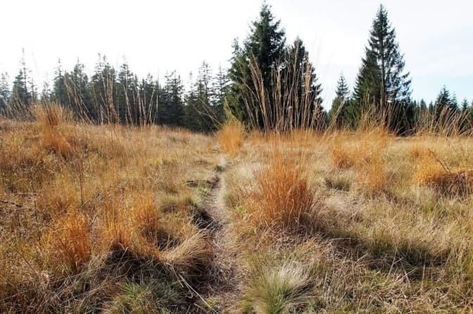 Фото: Юридичний департамент ЛМР