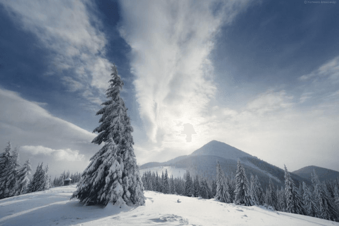 Фото: Getty Photos