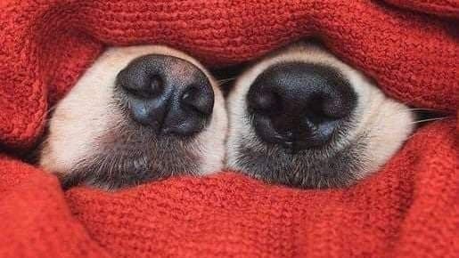 Ілюстративне фото / Getty Images