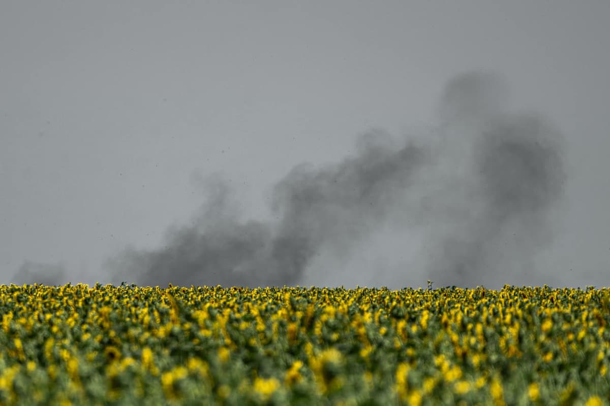 Відомий вчений розказував як читав щурам лекції в полоні, або Як наша відмова від концепту жертви допоможе вижити