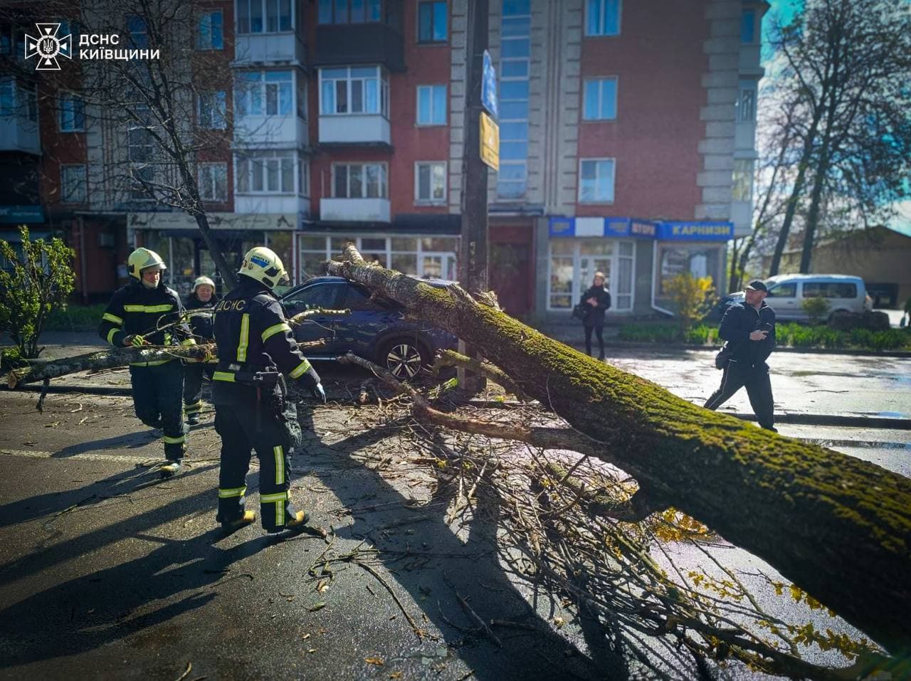 Негода на Київщині. Фото: ДСНС
