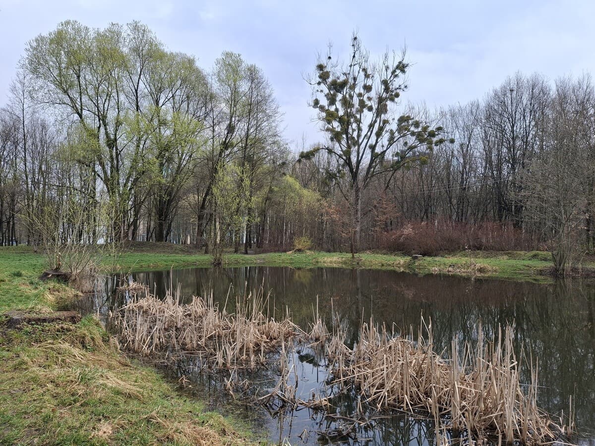 Фото: озеро в парку Архангела Михаїла