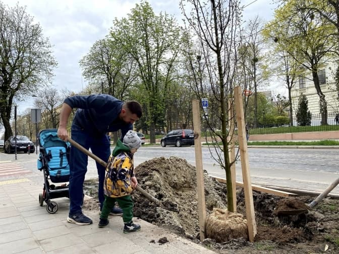 На вулиці Бандери у Львові почали висаджувати дерева