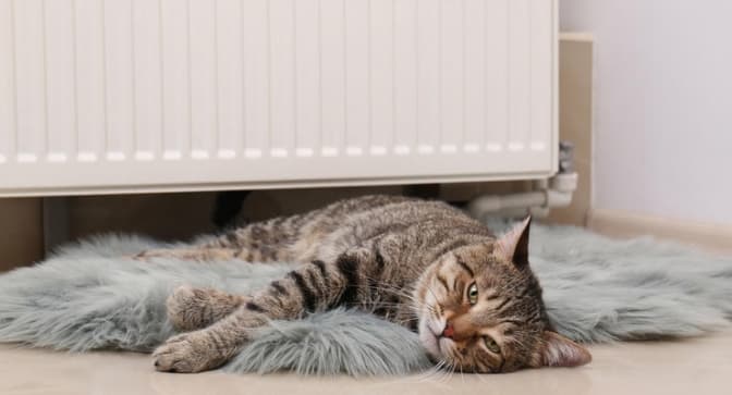 Як кожному підготуватися до опалювального сезону. Поради експерта