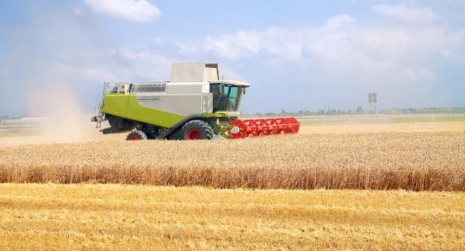 Росія вивезла з України зерна та олії на понад 600 мільйонів доларів