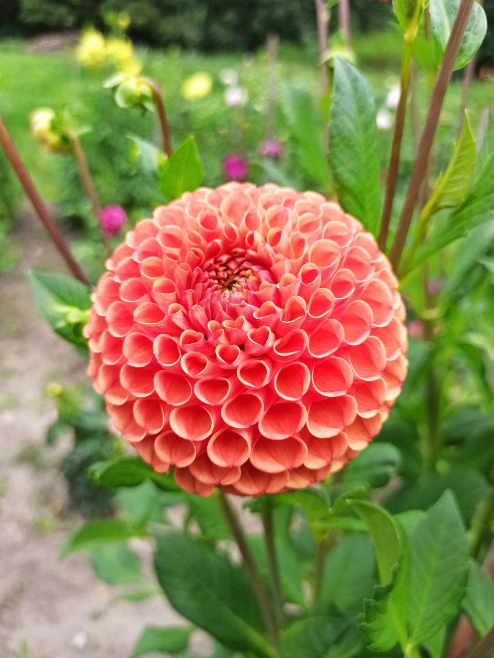 фото: ботсад лну