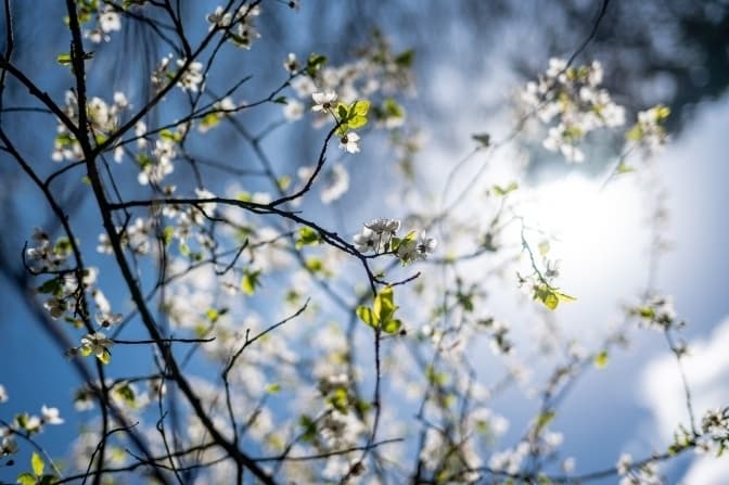 До 17 градусів тепла. Прогноз погоди на понеділок у Львові