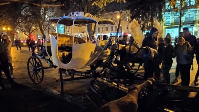 Петиція про заборону перевезення кінними каретами у центрі Львова зібрала необхідні голоси