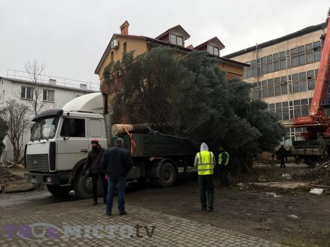 Сьогодні у Львові встановлять головну новорічну ялинку міста