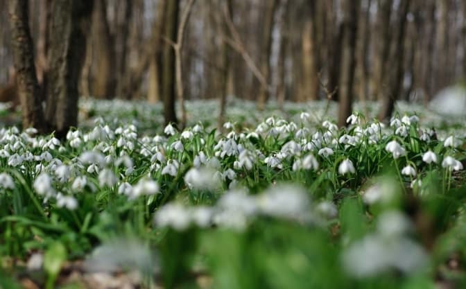 Фото: Getty image
