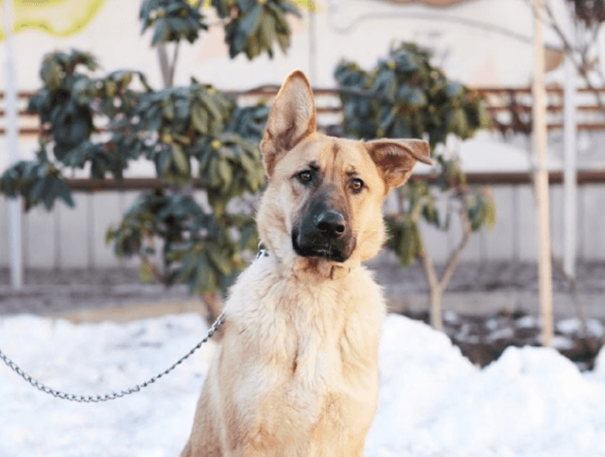 Фото: Ірина Шелест