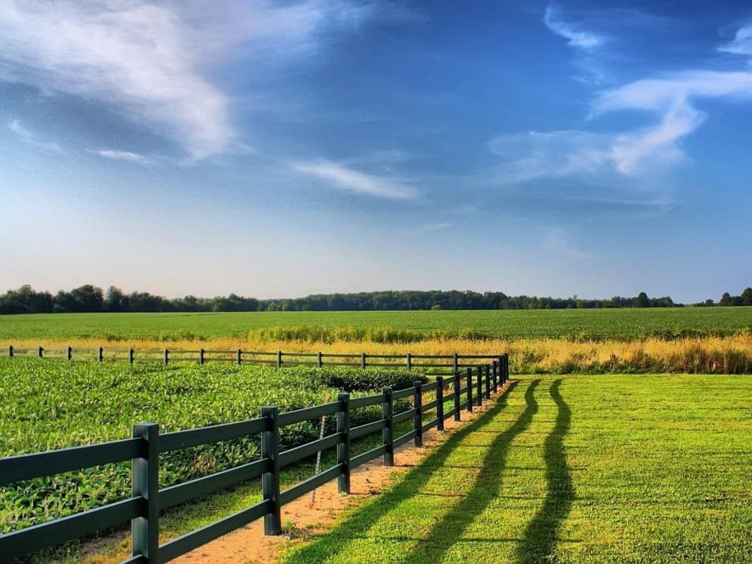 Кабмін створив кредитний фонд для малих фермерів