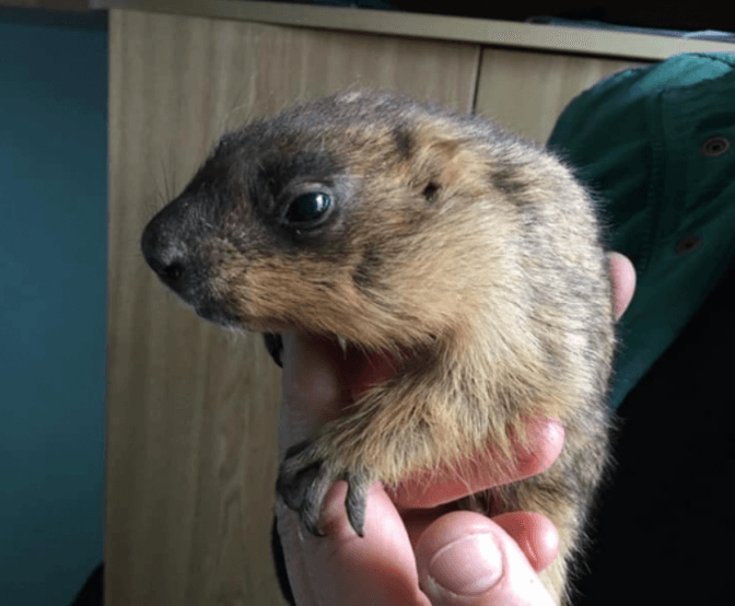 ФОТО: ДИТЯЧИЙ МІСЬКИЙ ЕКОЛОГО-НАТУРАЛІСТИЧНИЙ ЦЕНТР