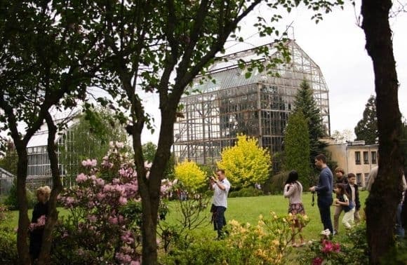 Львів'ян запрошують у Ботанічний сад на святкування ювілею Франкового університету