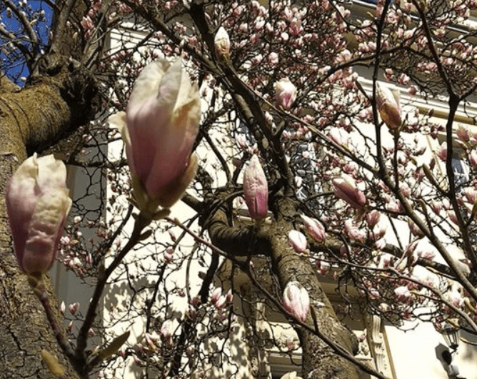 Фото: Дім Франка