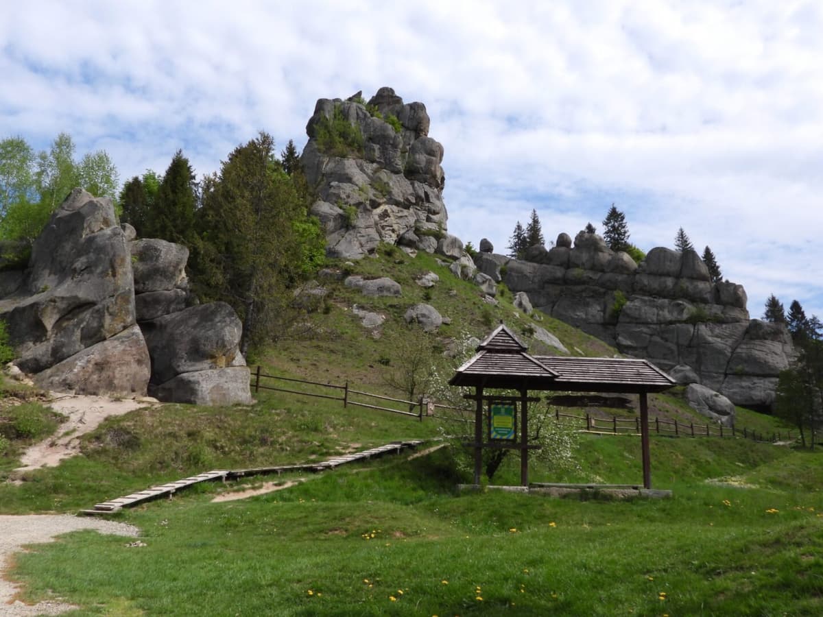 “Ліс замість підручника”: у Сколівських Бескидах школярів запрошують на екоуроки просто неба — з водоспадами, озерами і пралісами