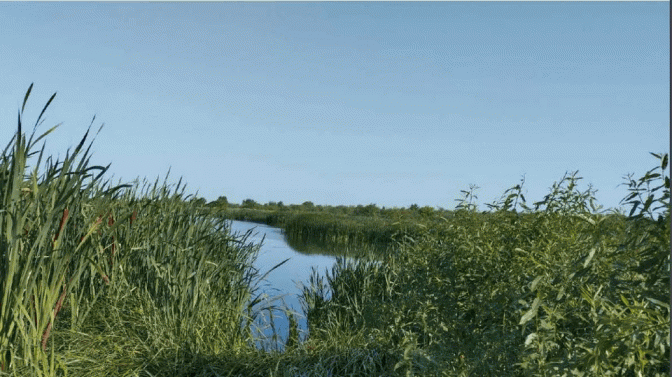 Громаді на Львівщині повернули земельну ділянку вартістю 2 млрд грн