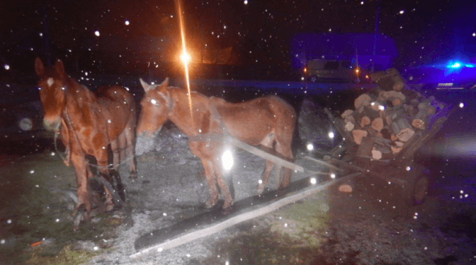 фото поліції львівської області