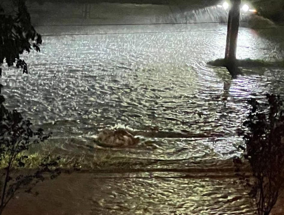 Фото: Варта-1