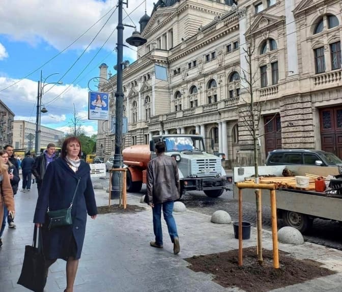 У центрі Львова з'явилися перші «кліматичні» дерева. Де і скільки їх висадили