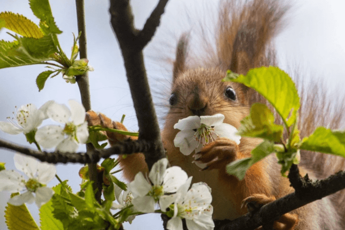 На Львівщині синоптики прогнозують заморозки