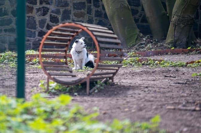 Фото: Твоє місто/ Іван Станіславський