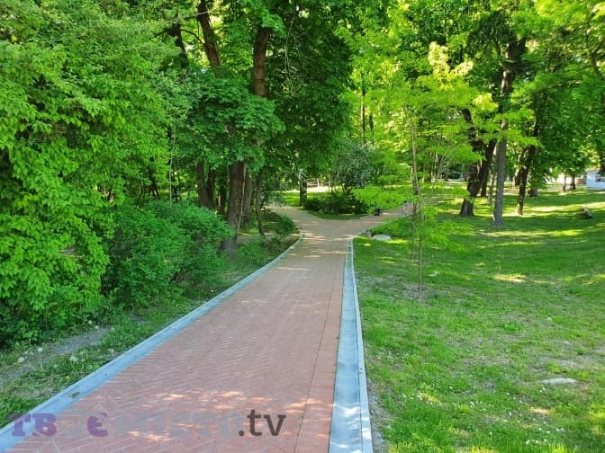Чому у Львові зупинилася реконструкція Личаківського парку. Фото, відео