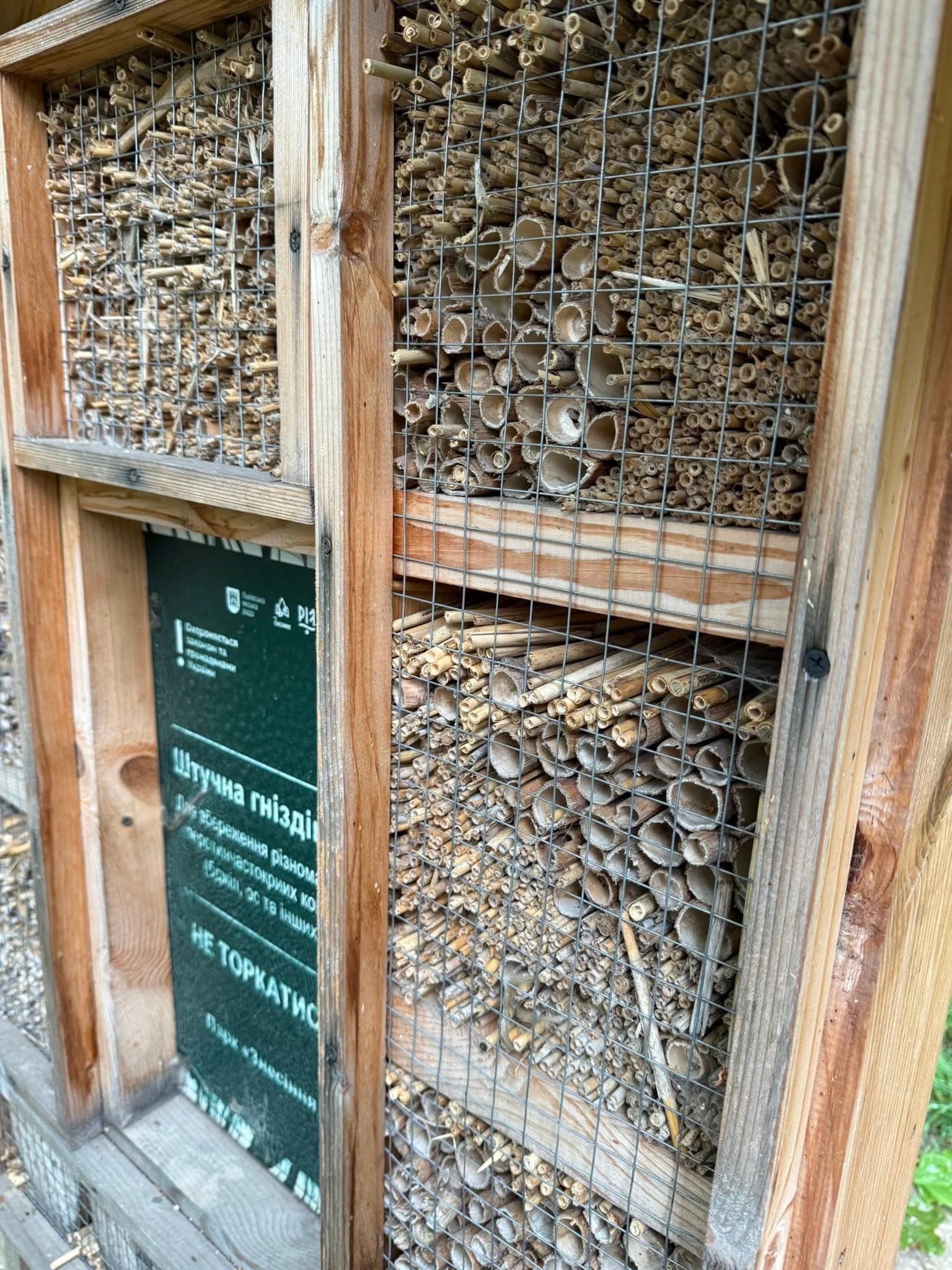 фото: управління екології