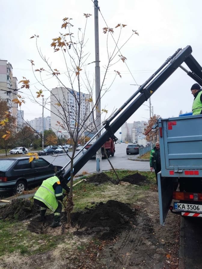 Озеленення у Деснянському районі: на двох локаціях висадили нові дерева