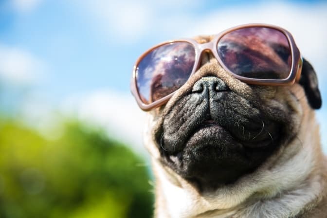 У Львові зафіксували температурний рекорд. Коли спека знову повернеться