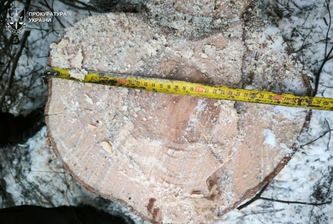 фото: прокуратура