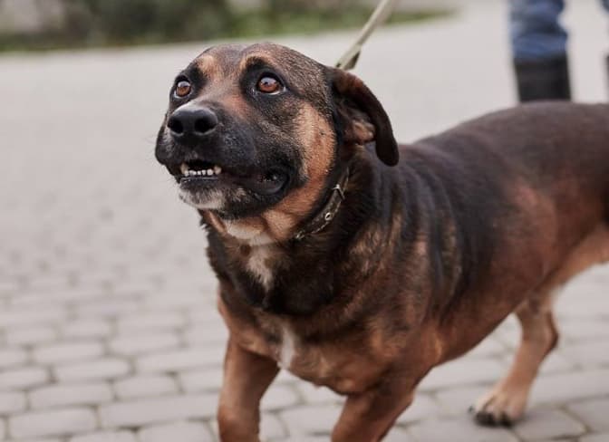 фото: Ірина Шелест