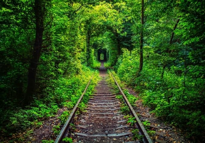 Фото: vidviday.ua