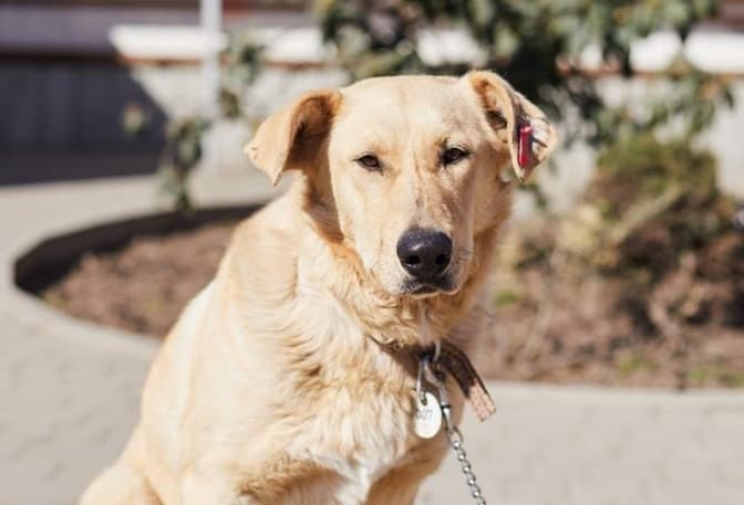 фото: Ірина Шелест