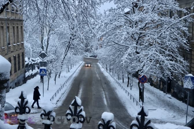 Фото: Анни Чистякової