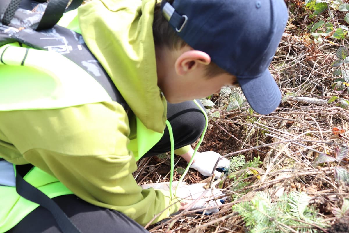 На Львівщині висадили 8 тисяч дерев під час екологічної акції