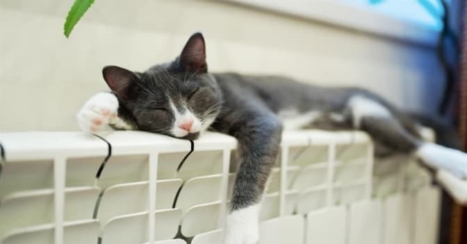 фото умовне