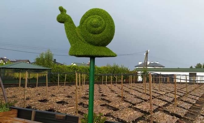 Змій з'їли, а равликів згодували. Як львівські підприємці рятували бізнес